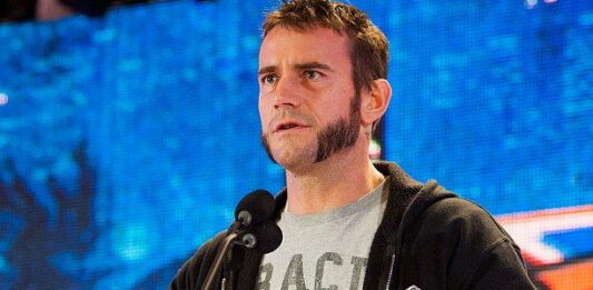 CM Punk Reveals Health Problems, Talks About Not Wanting Sting In WWE