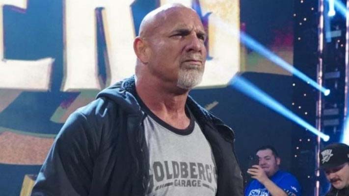 Bret Hart Takes Another Shot At Goldberg Again - PWMania - Wrestling News